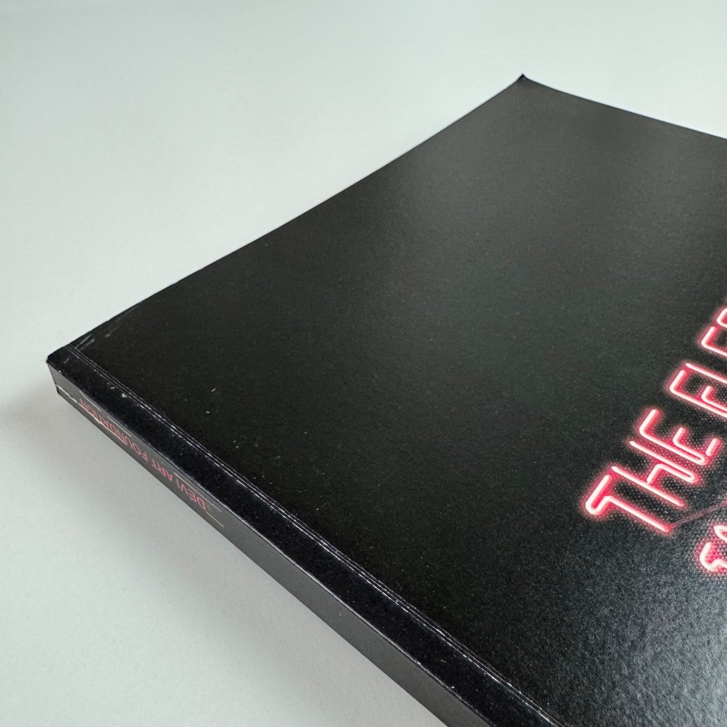The Elephant in the Dark | Delvi Art Foundation, New Delhi, 2012 curated by Amirali Ghasemi