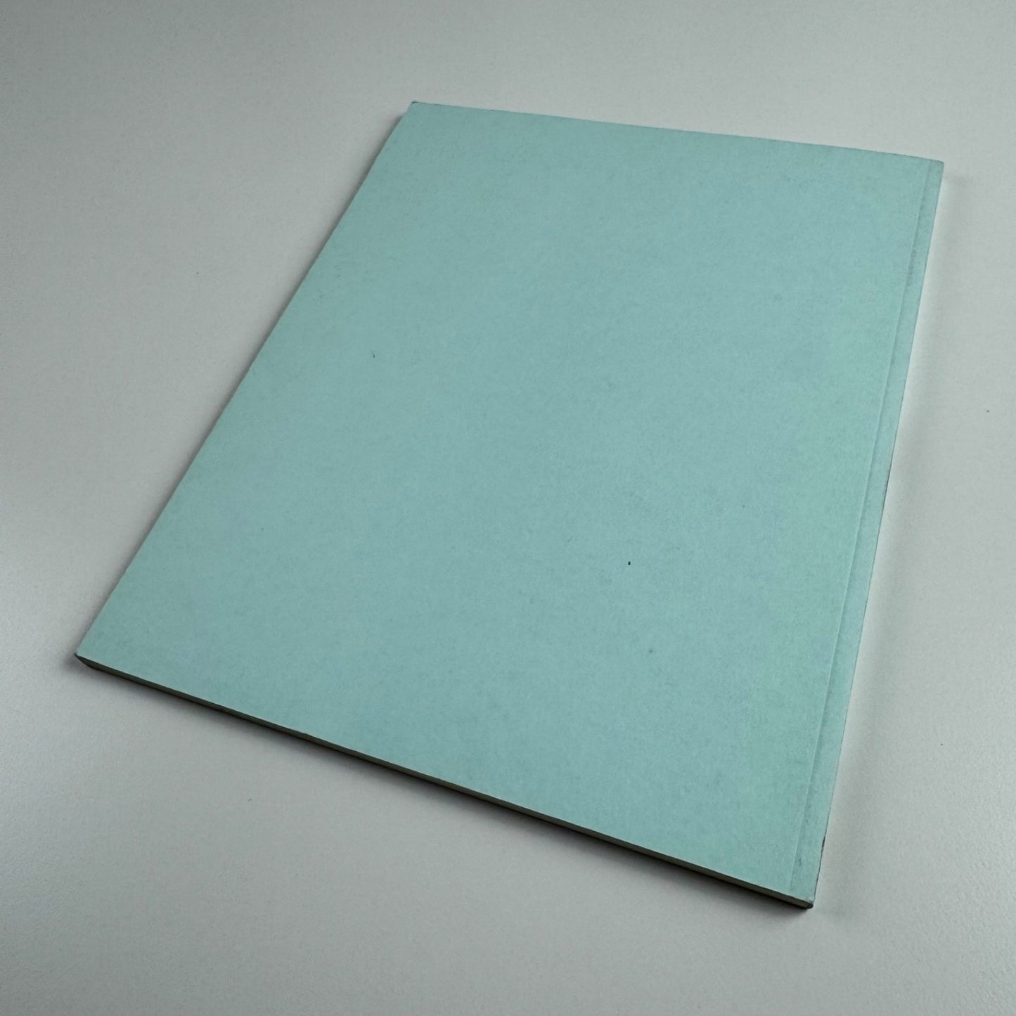 Haluk Akakçe. I wish I was… | Galerie Max Hetzler, Berlin, 2006