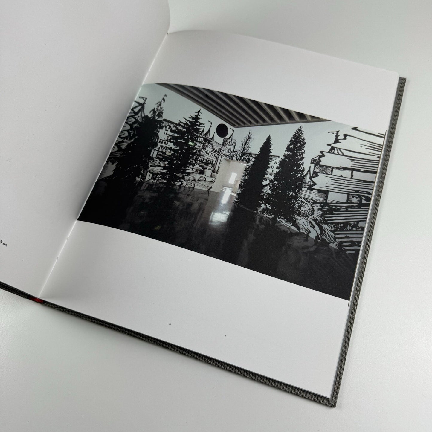 Paul Morrison | Los Angeles Art Museum exhibition catalogue, 2008