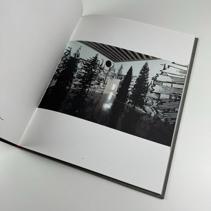Paul Morrison | Los Angeles Art Museum exhibition catalogue, 2008