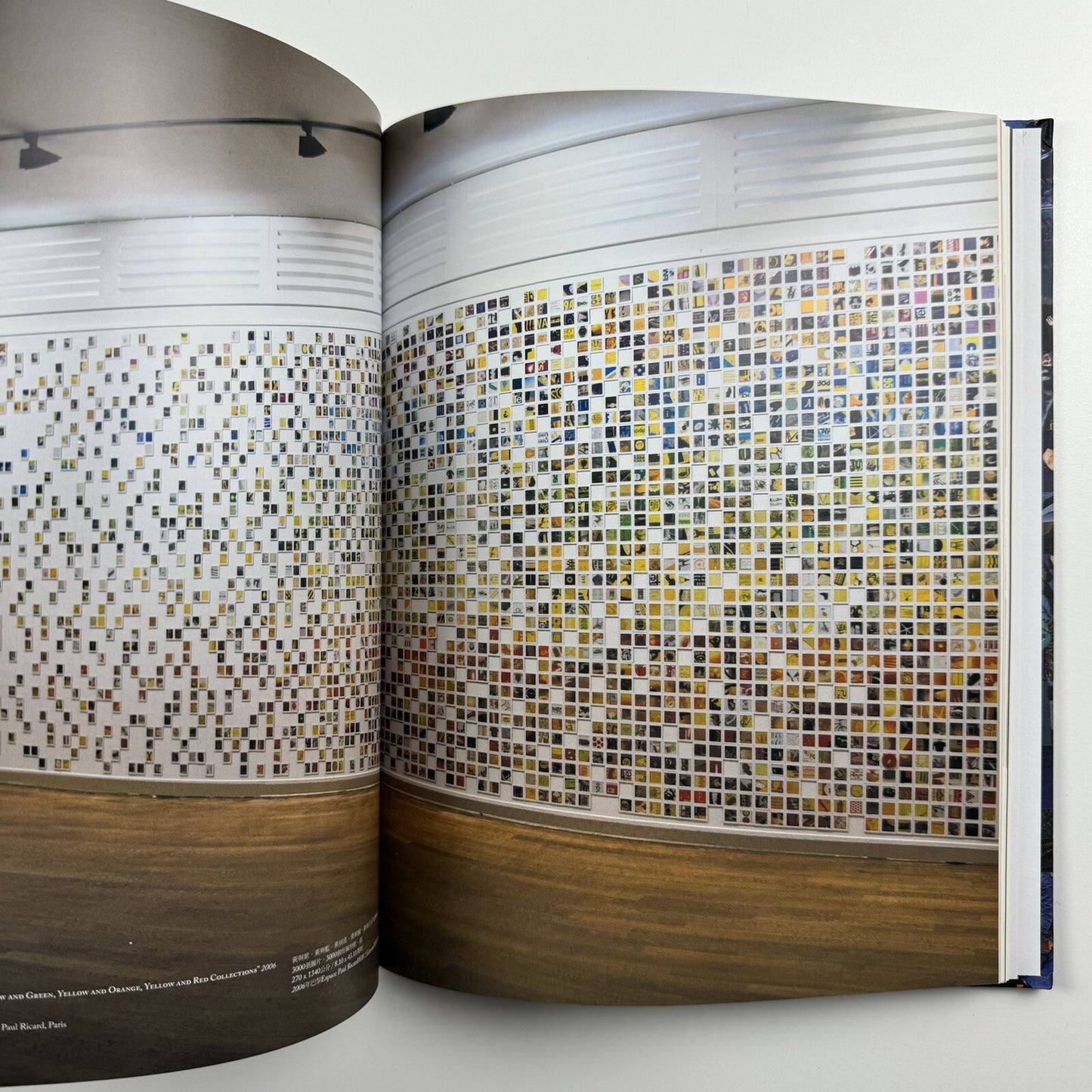 Guy Limone – Amongst | Galerie Perrotin 2012 exhibition catalogue