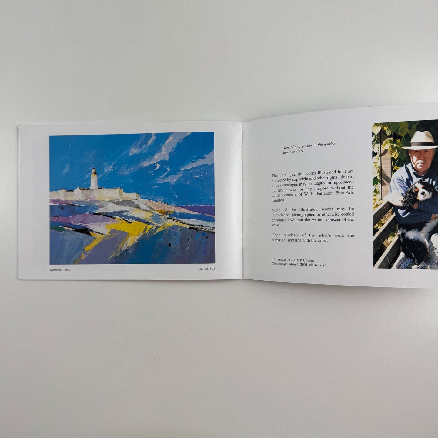 Donald Hamilton Fraser. Fifty Years of Painting | W.H. Patterson, 2002