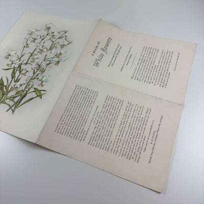 Prospectus for A Book of White Flowers by Elizabeth Cameron K.D. Duval 1980