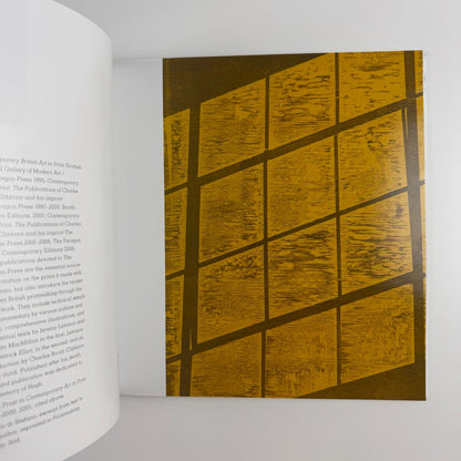 Hugh Stoneman. Master Printer | Tate St Ives, 2007