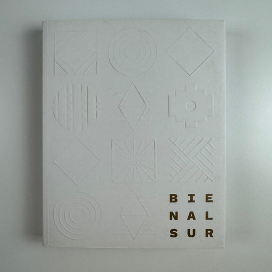 Bienalsur 2017. Universidad Nacional de tres de Febrero, 2018