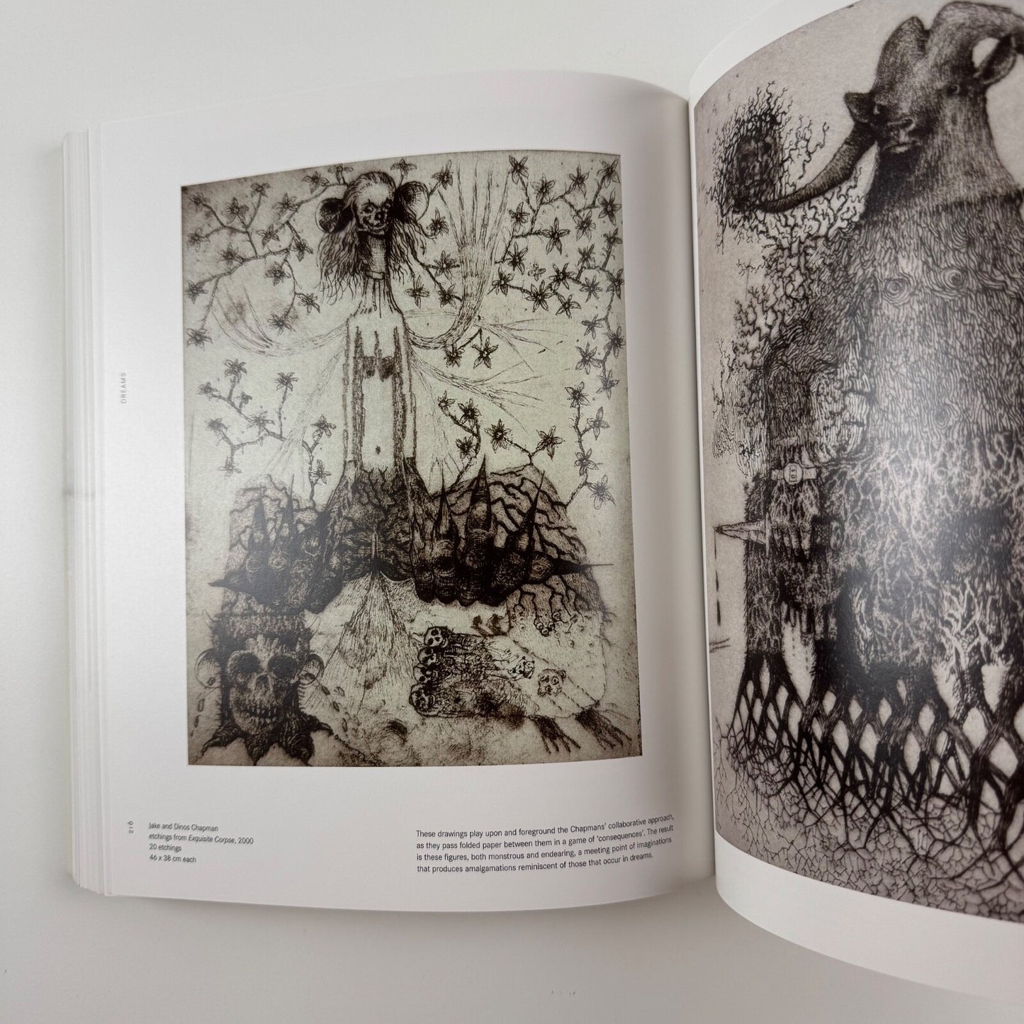 The Drawing Book. A survey of the primary means of expression ed Tania Kovats
