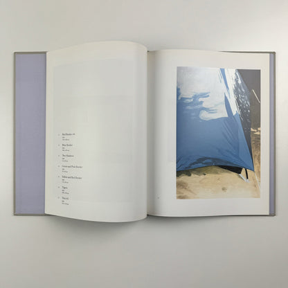 Koen van den Broek. Jennifer Higgie | White Cube, London, 2003