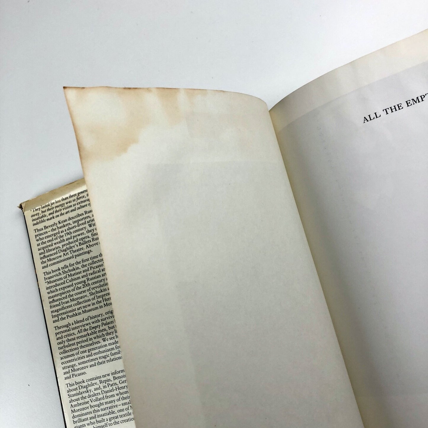 All The Empty Palaces by Beverly Whitney Kean | Barrie & Jenkins, 1983