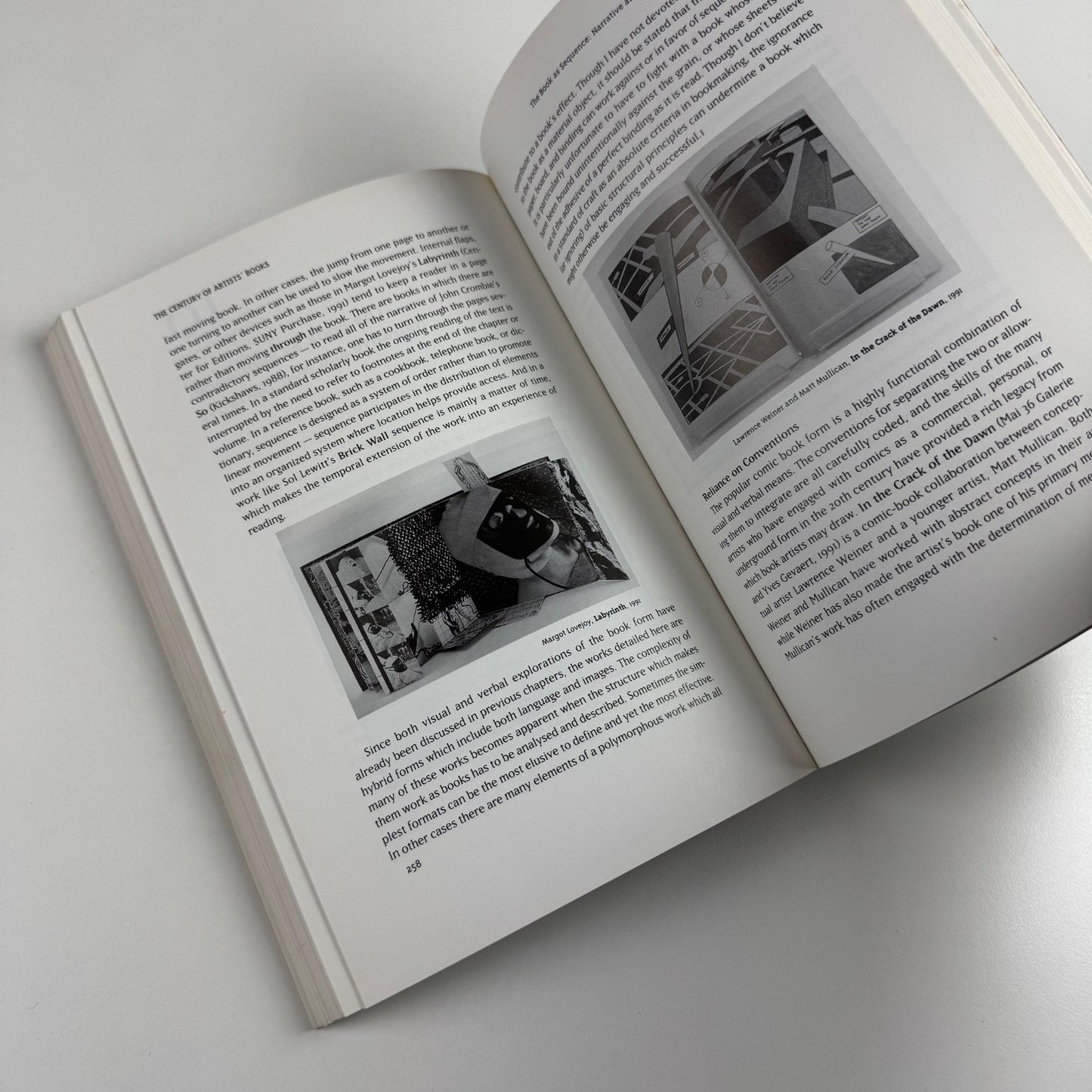 The Century of Artists’ Book by Johanna Drucker | Granary Books, 1995