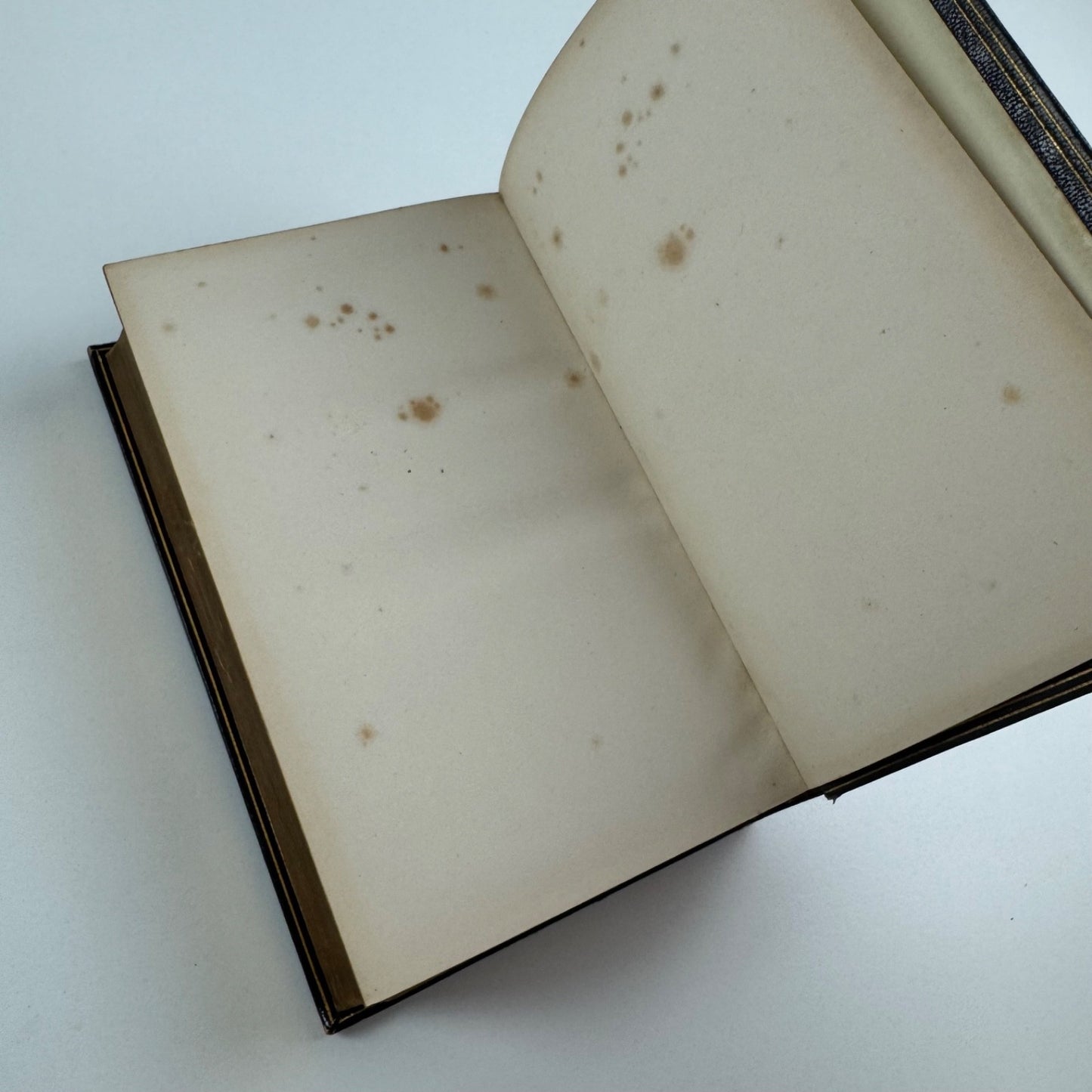 Milton's Poetical Works edited by Sir Egerton Brydges | William Tegg, 1865 bound by Edwin Slater