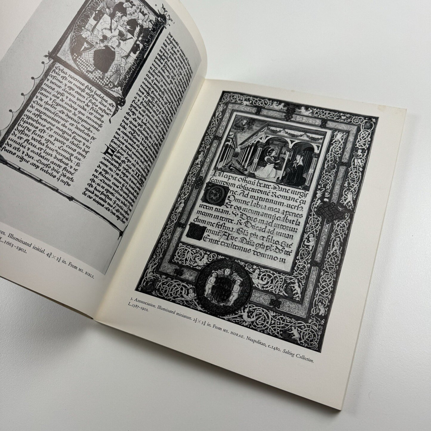 Fine Illustrations in Western European Printed Books by T.M. MacRobert | V&A, 1969