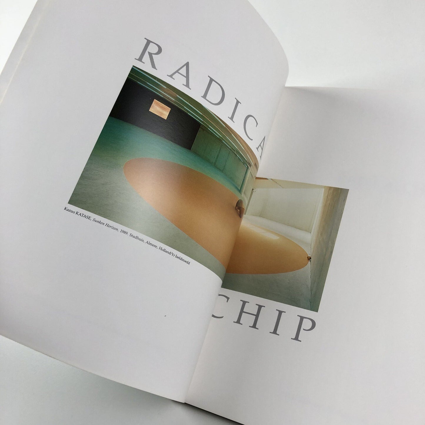 Radicalchip. Contemporary Art from Japan | Chapter, FFotogallery and Oriel 1991