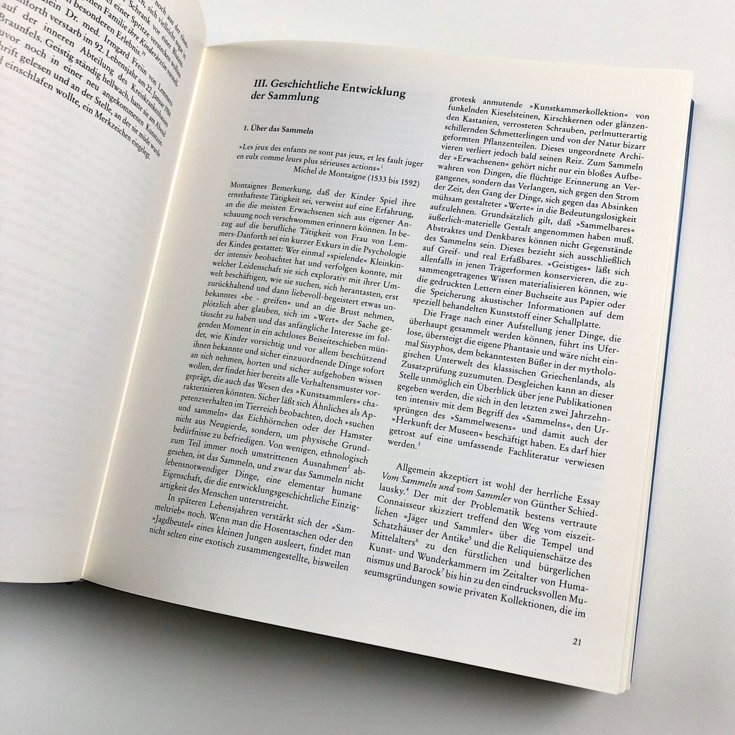 Die Lemmers-Danforth-Sammlung Wetzlar | Wolfram Koeppe | Edition Braus, 1992