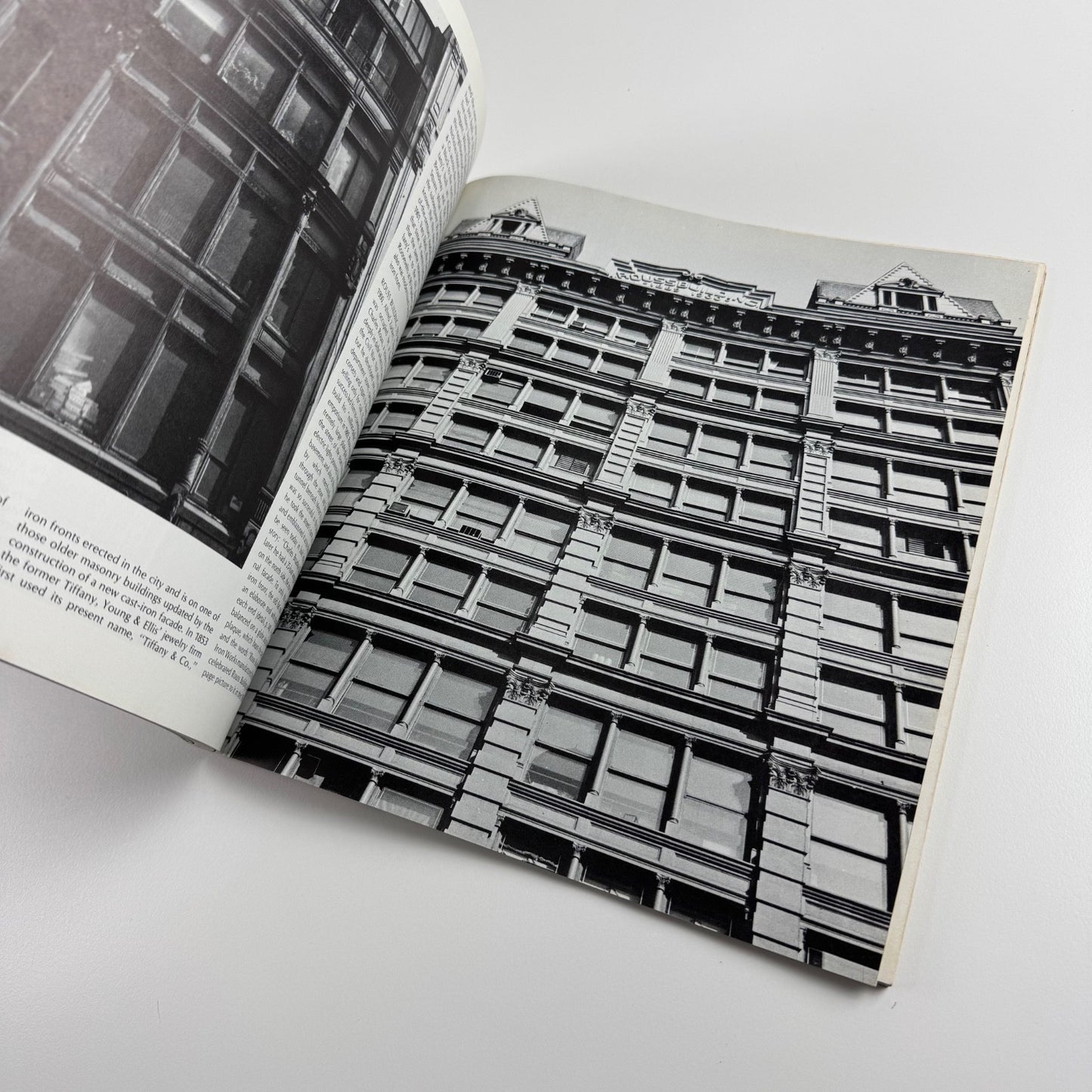 Cast-iron architecture in New York. A photographic survey by Margot Gayle & Edmund Gillon, Dover, 1974