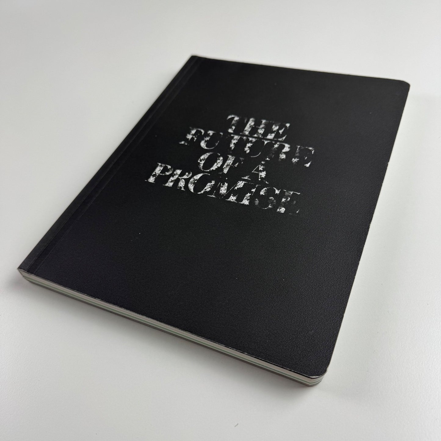 The Future of a Promise. Contemporary Art from the Arab World Venice Biennale, 2011