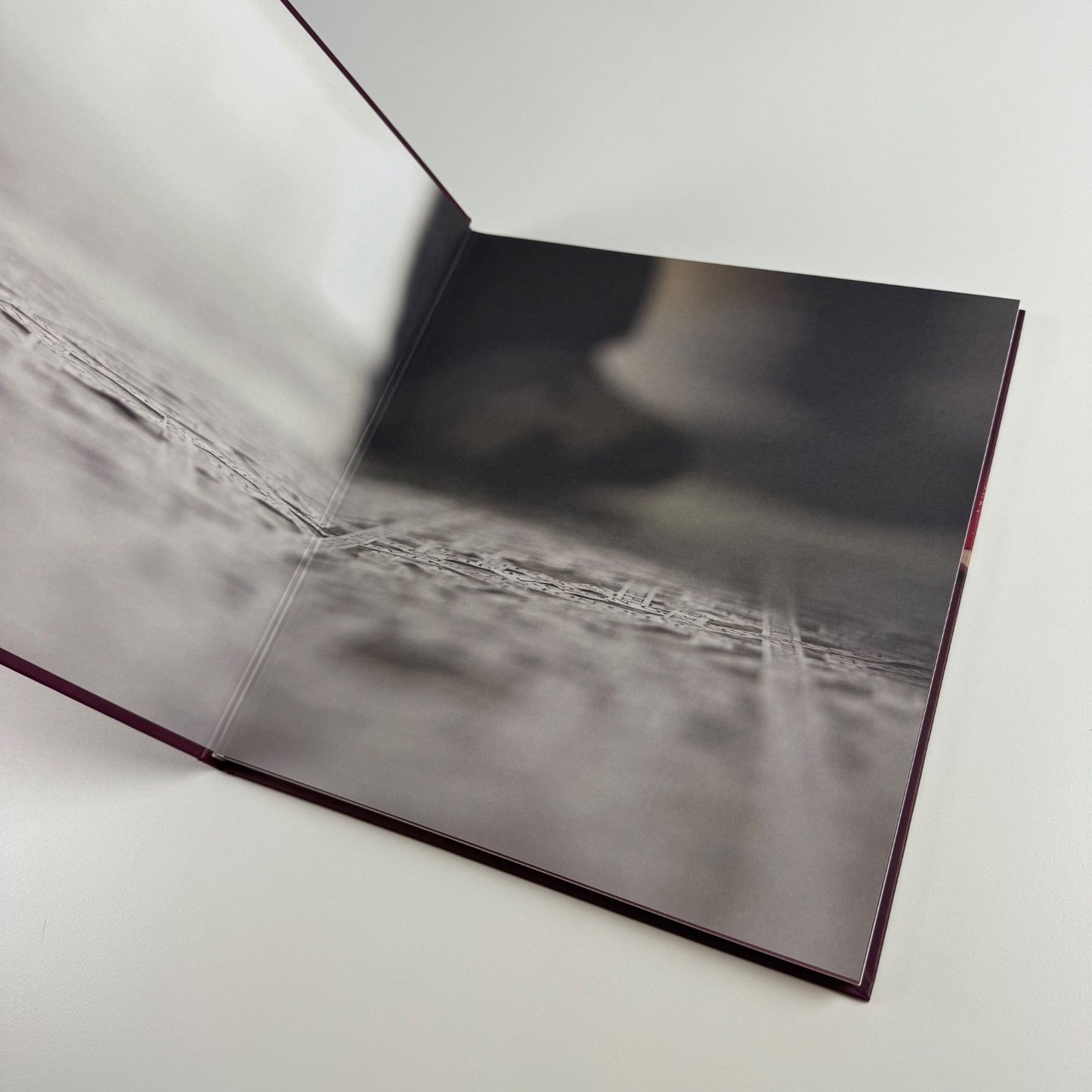 Hamra Abbas. Object Lessons | Green Cardamon, 2009