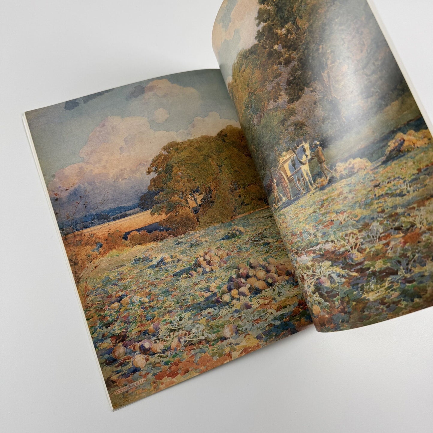 W.H. Allen 1863-1943 – Landscape Artist | Alastair Penfold | Hampshire County Council, 1989