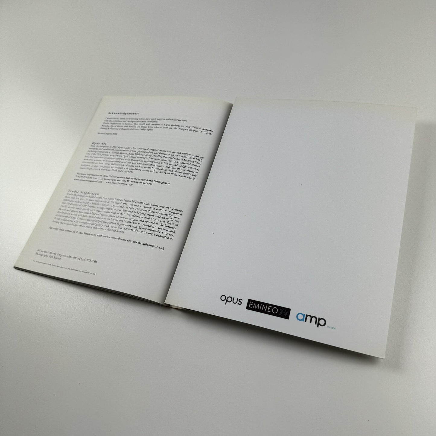 Steven Gregory. Down to the Bone | Opus Art/Trudie Stephenson exhibition catalogue, 2008
