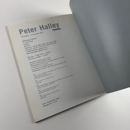 Peter Halley. Paintings | Waddington Galleries, 2001