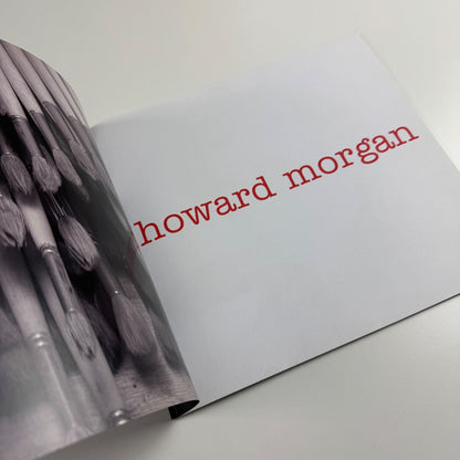 Howard Morgan Recent Paintings | Messum's, 2006