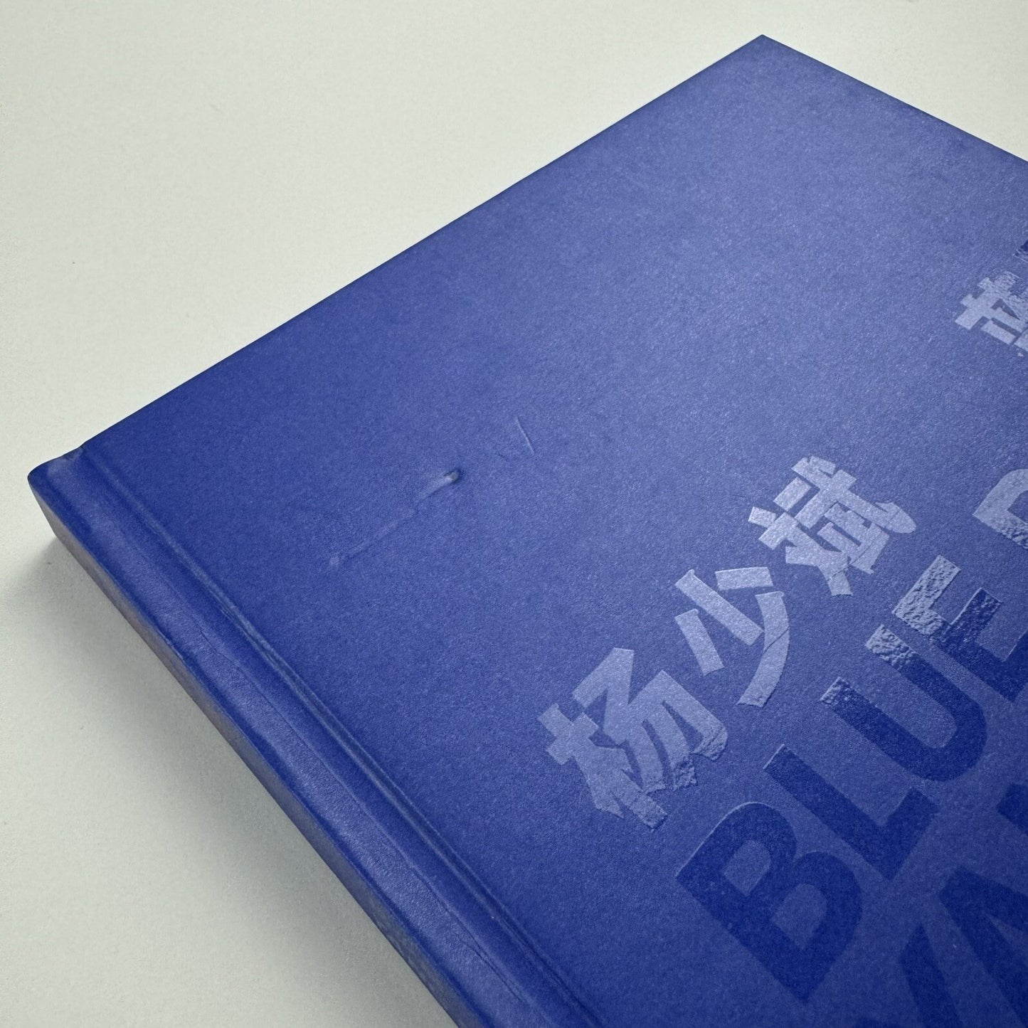 Blue Room. Yang Shao Bin | Ullens Center for Contemporary Art in Beijing, 2010 catalogue