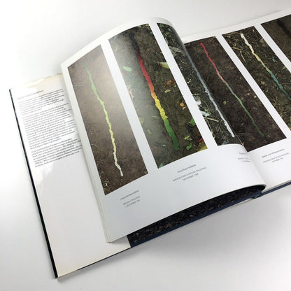 Andy Goldsworthy | Zweitausendeins, 2000