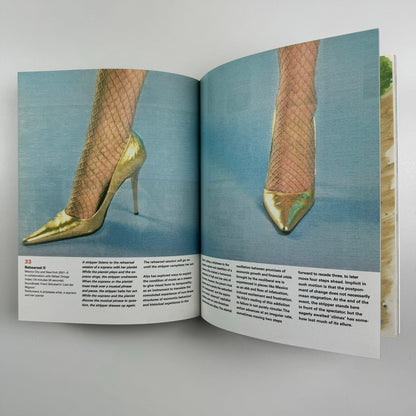 Francis Alÿs: A Story of Deception | Klaus Biesenbach & Mark Godfrey | Tate, 2010