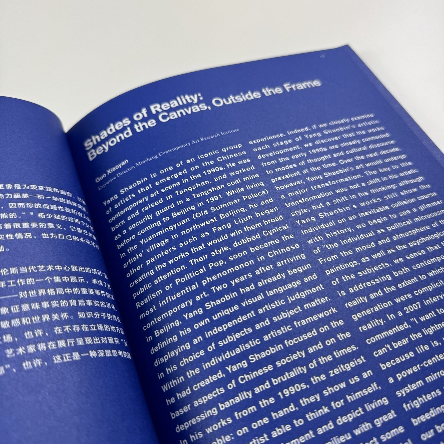 Blue Room. Yang Shao Bin | Ullens Center for Contemporary Art in Beijing, 2010 catalogue
