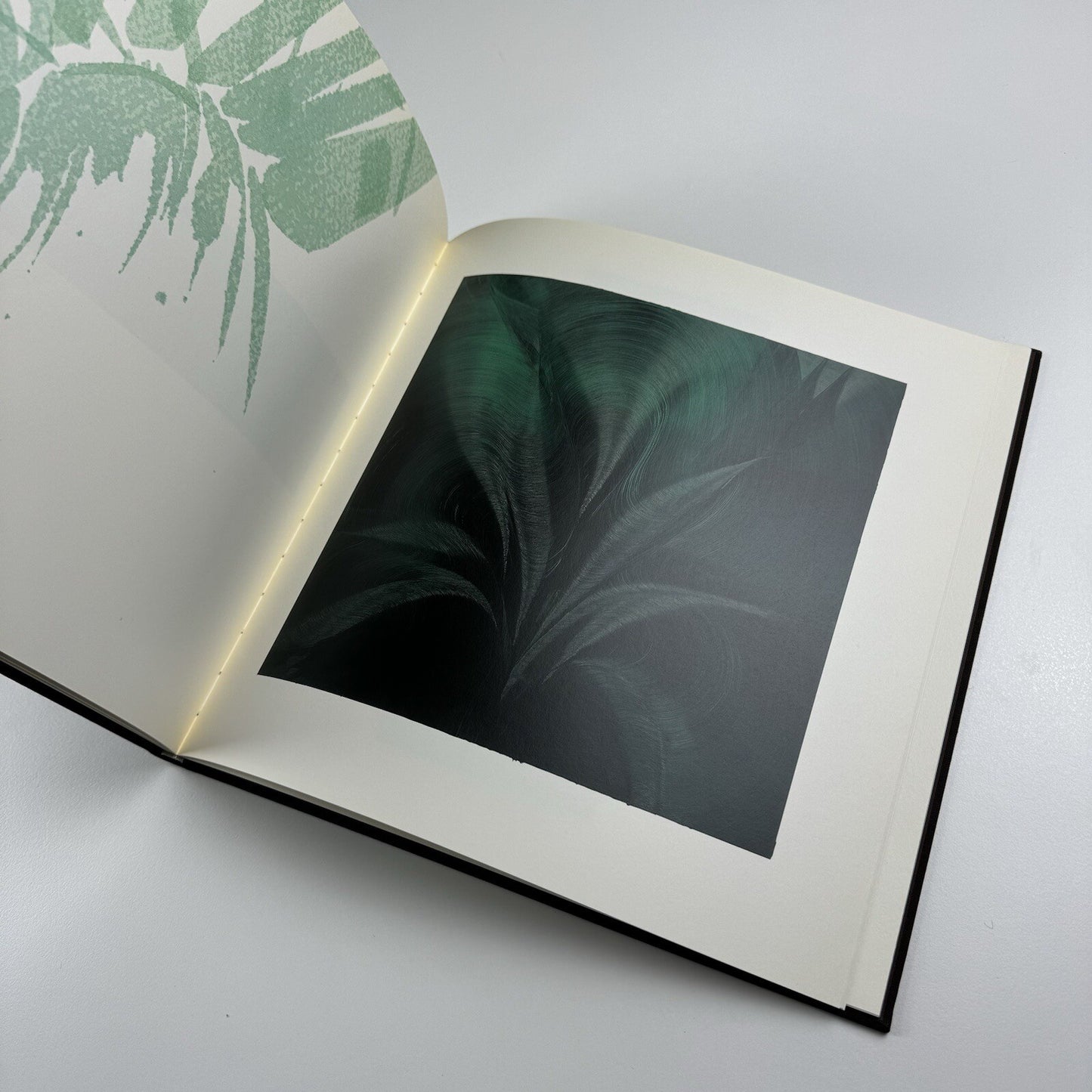 Jason Martin. Arcadia | Mário Sequeira Gallery Portugal | 2006 exhibition catalogue