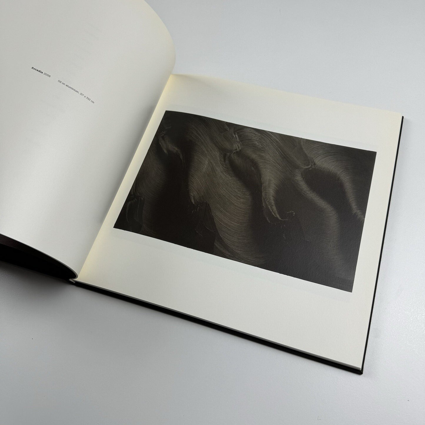 Jason Martin. Arcadia | Mário Sequeira Gallery Portugal | 2006 exhibition catalogue