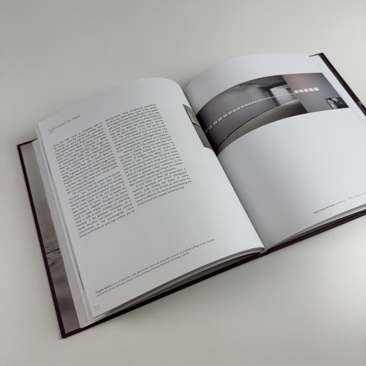 Hamra Abbas. Object Lessons | Green Cardamon, 2009