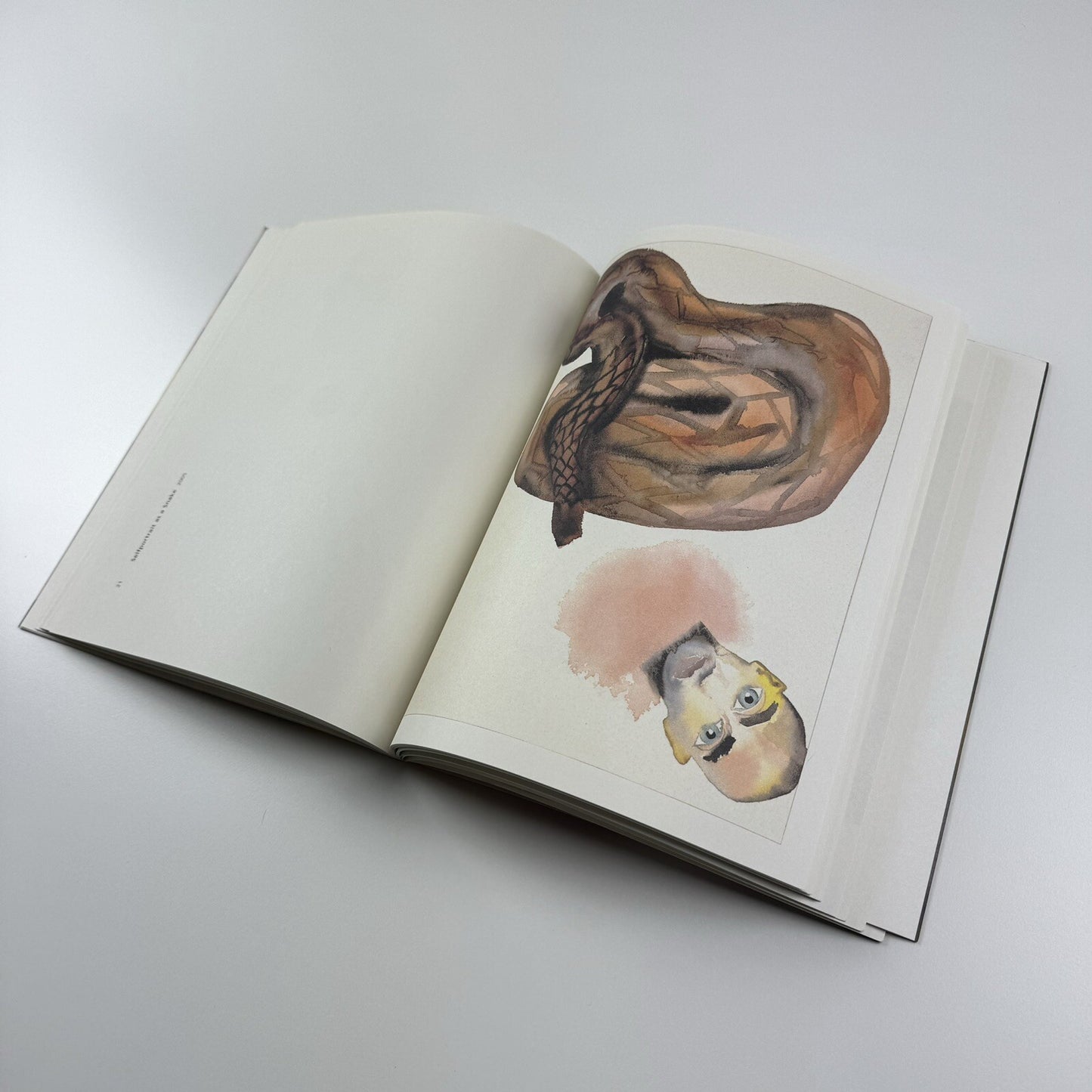Francesco Clemente: Selfportrait, Watercolours & Pantheon | Lorcan O’Neill catalogue, 2006