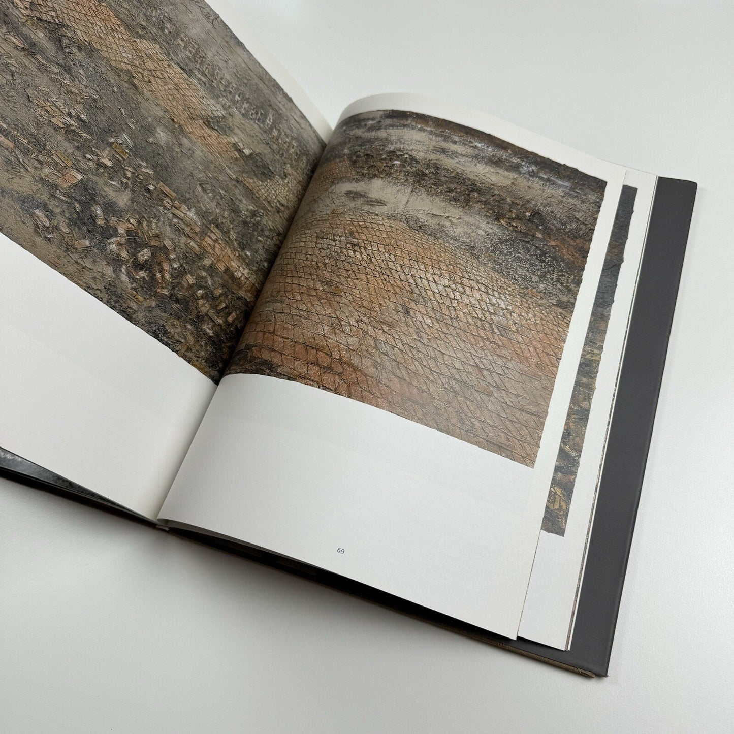 Karfunkelfee. Anselm Kiefer. The Fertile Crescent | White Cube 2009
