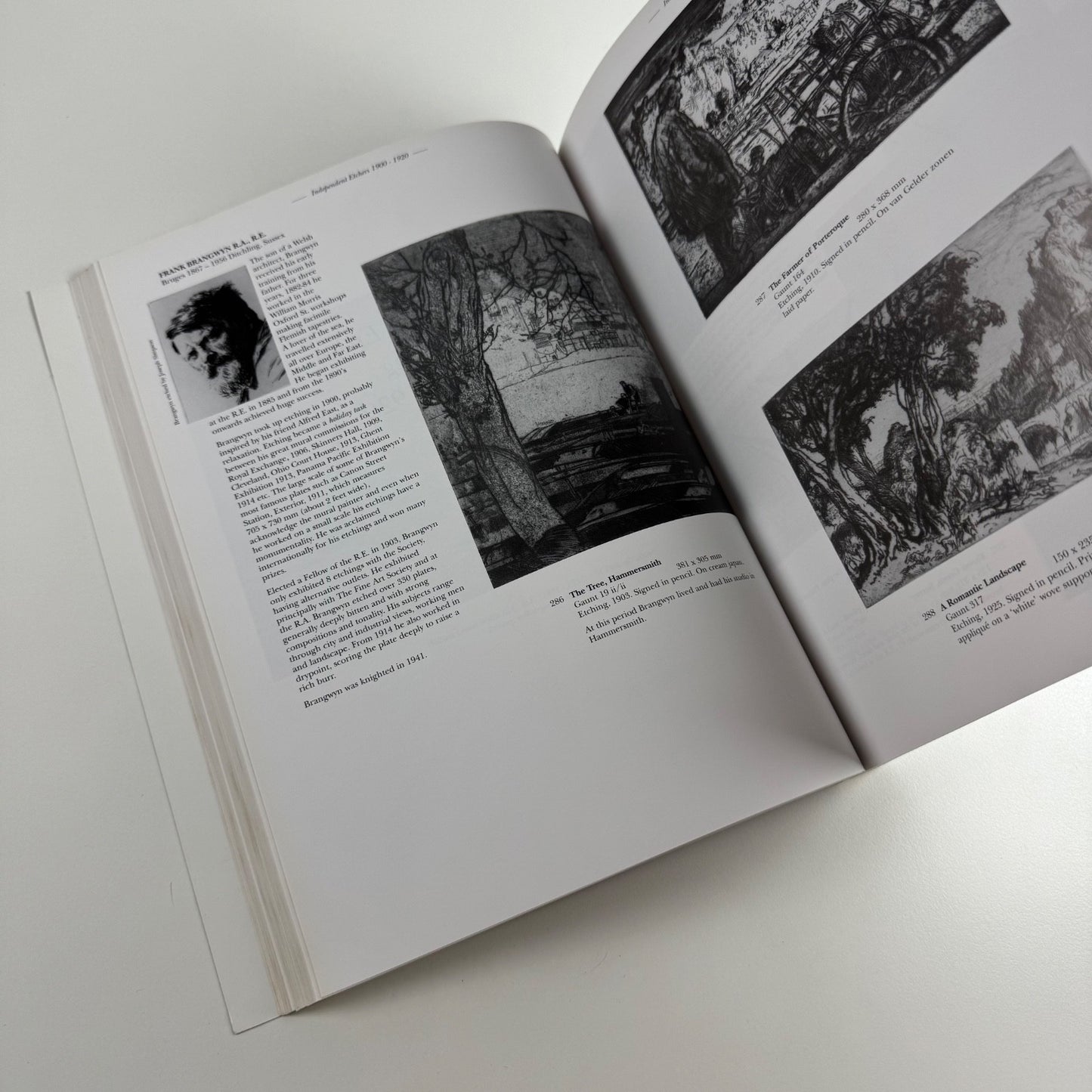 The Seductive Art The British Passion for Etching 1850-1950 Elizabeth Harvey-Lee