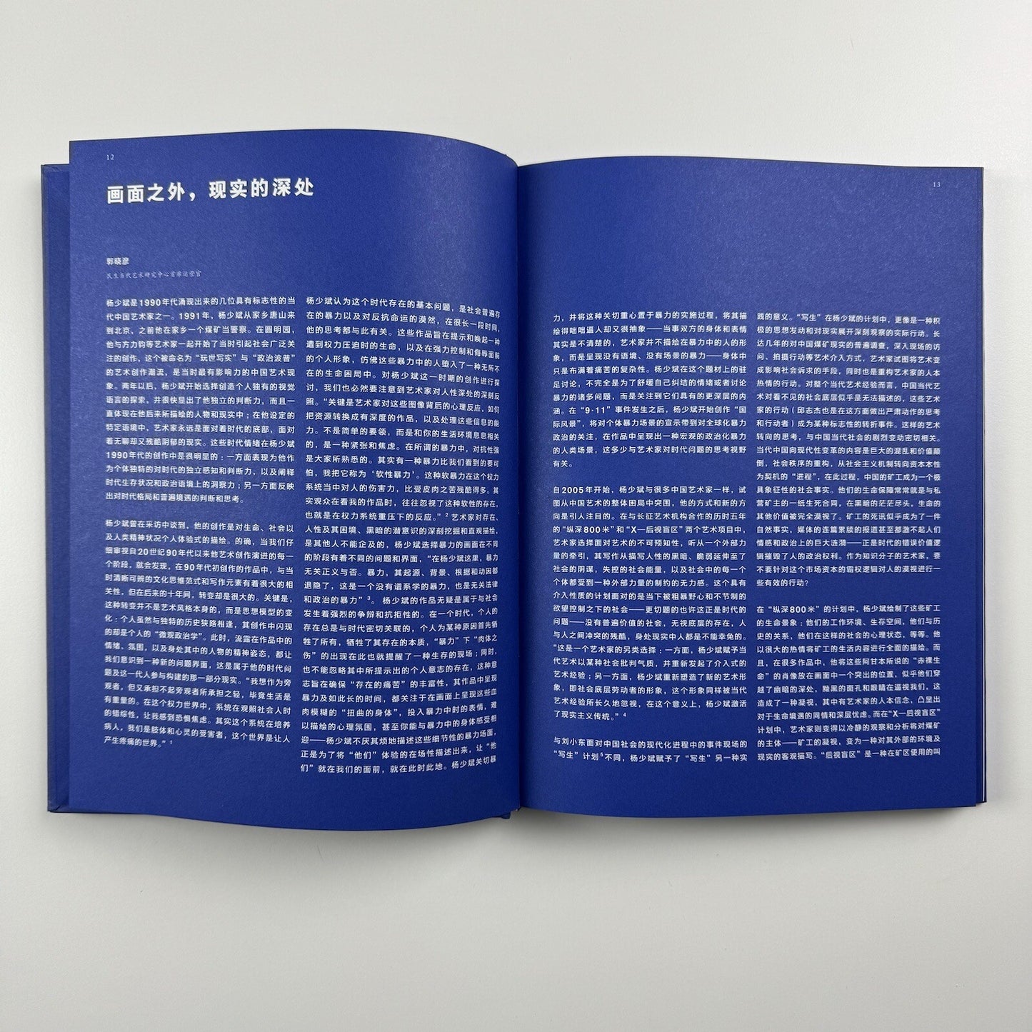 Blue Room. Yang Shao Bin | Ullens Center for Contemporary Art in Beijing, 2010 catalogue