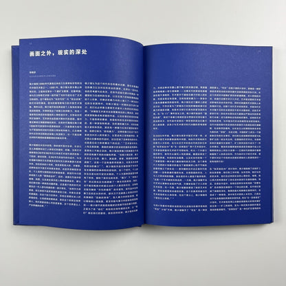Blue Room. Yang Shao Bin | Ullens Center for Contemporary Art in Beijing, 2010 catalogue