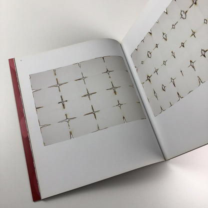 Cornelia Parker | The Whitworth Gallery, University of Manchester catalogue 2015