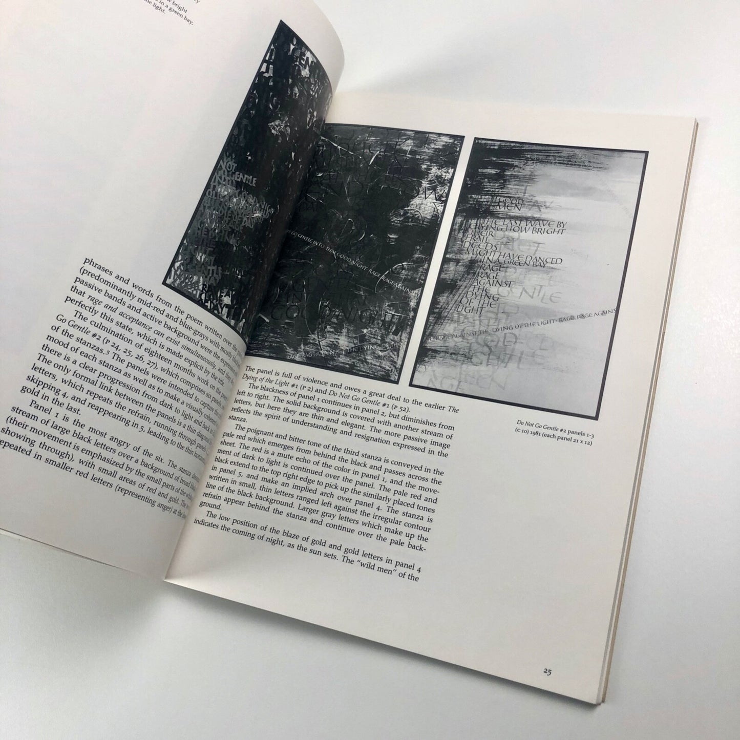 Words of Risk: The Art of Thomas Ingmire | Michael Gullick, 1989