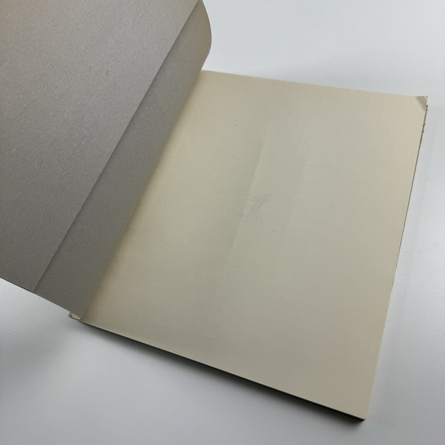 Albert Ràfols-Casamada. Obra reciente | Galeria Metta Madrid 2003