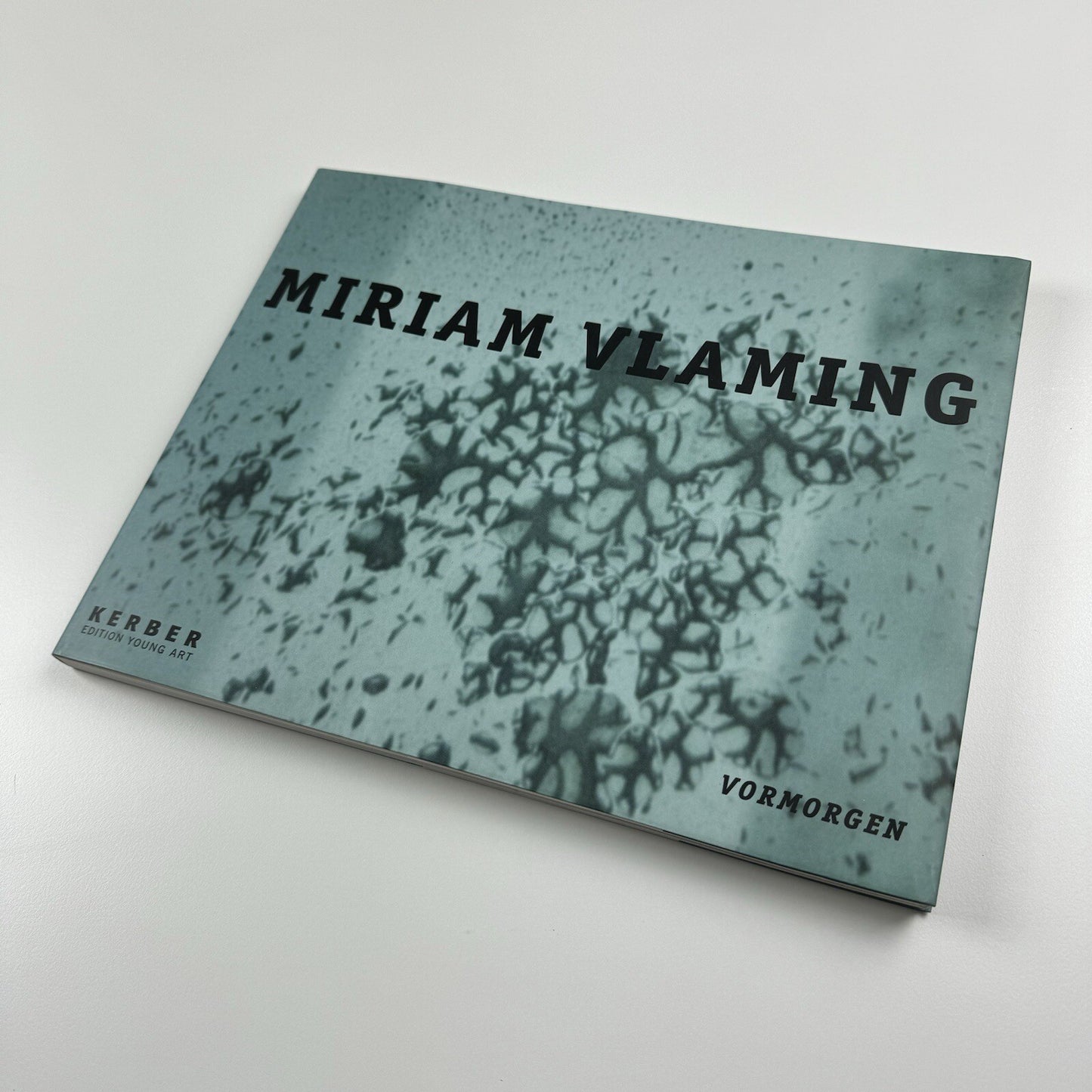 Miriam Vlaming. Vormorgen | Kerber, 2007 catalogue