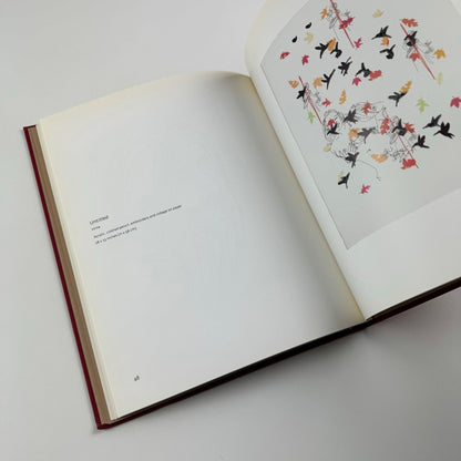 Ghada Amer | Gagosian Gallery New York exhibition catalogue, 2004