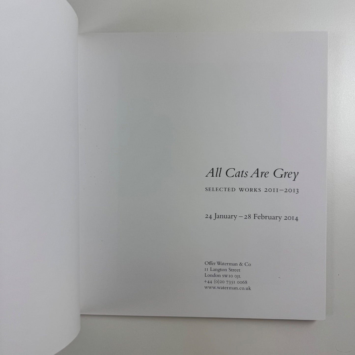 Diarmuid Kelley. All Cats Are Grey | Offer Waterman Gallery, 2014