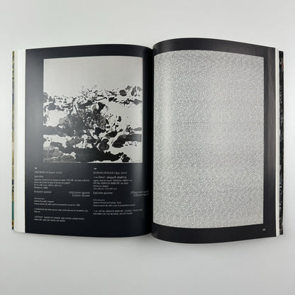 Art Contemporain | Christie's Paris 5 June 2013 sale reference 3576