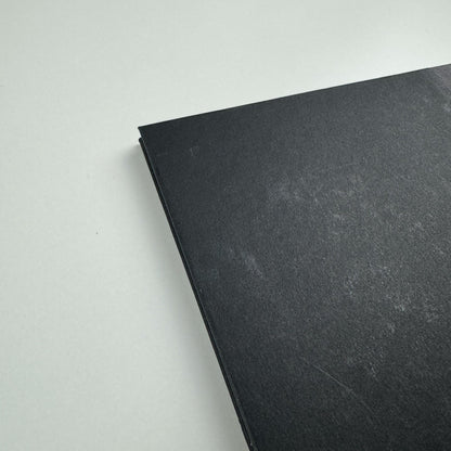 Ricky Swallow | Douglas Hyde Gallery Dublin, 2007 exhibition catalogue
