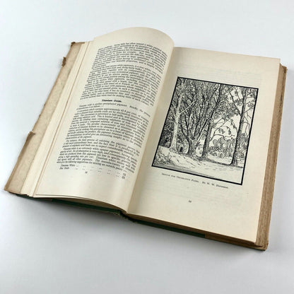 Painting from A to Z by James Lawrance | Third (austerity) edition, 1947