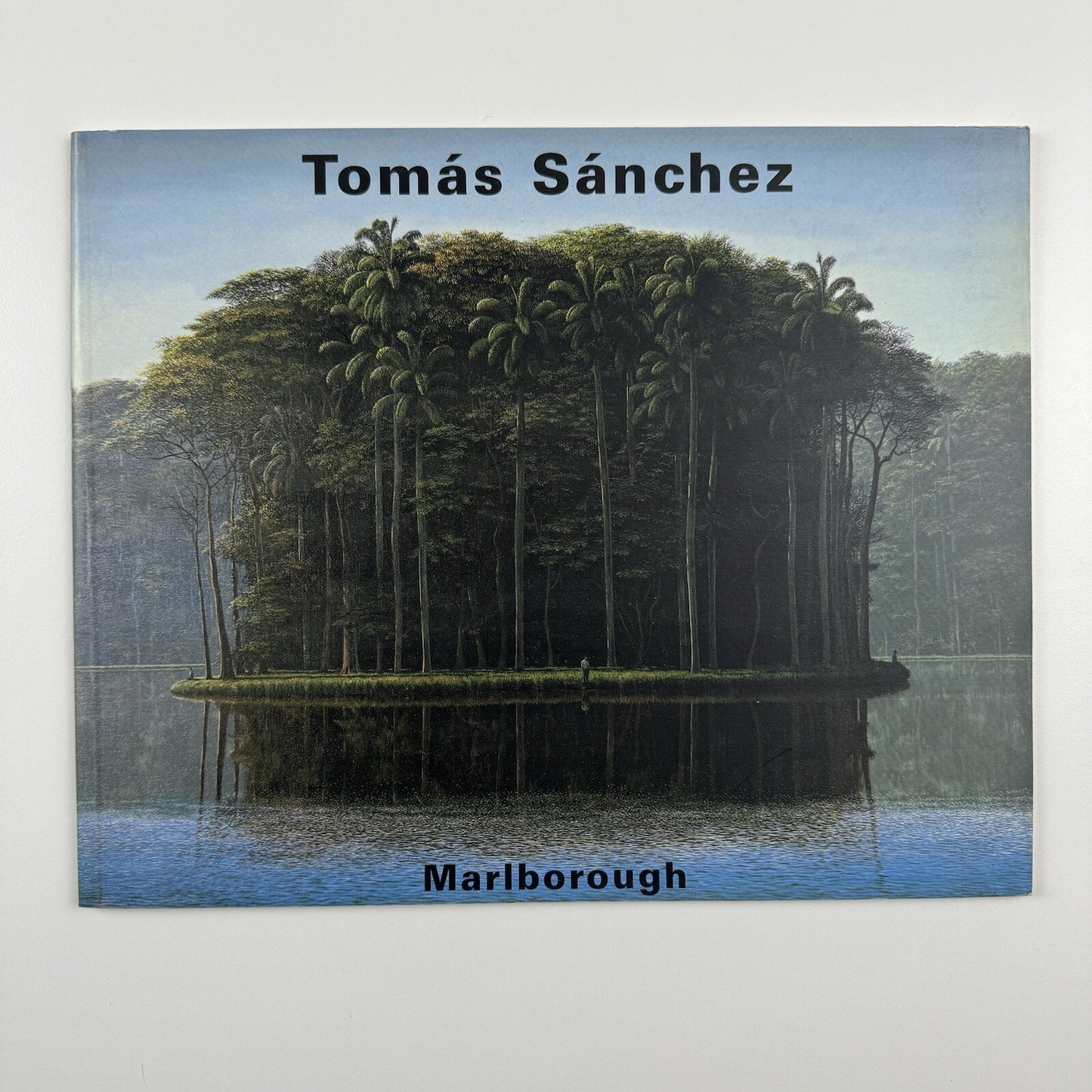 Tomás Sánchez. Obras recientes | Marlborough exhibition catalogue, 2001