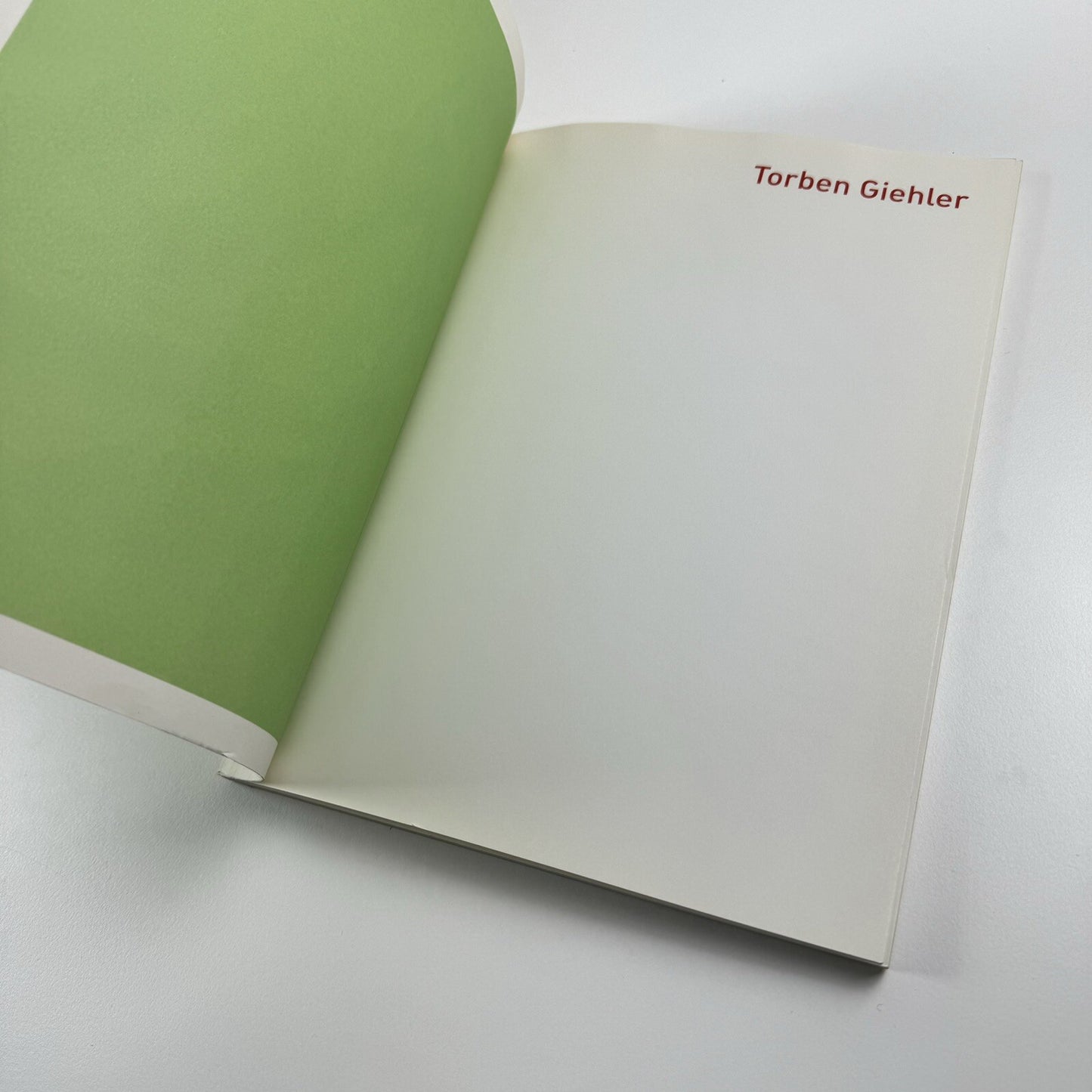 Torben Giehler. Essay by Merrily Kerr | Leon Koenig, New York, 2004