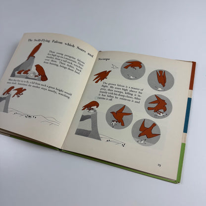 The Wonder World of Birds by Marie Neurath | Max Parrish, 1953 Isotype Institute