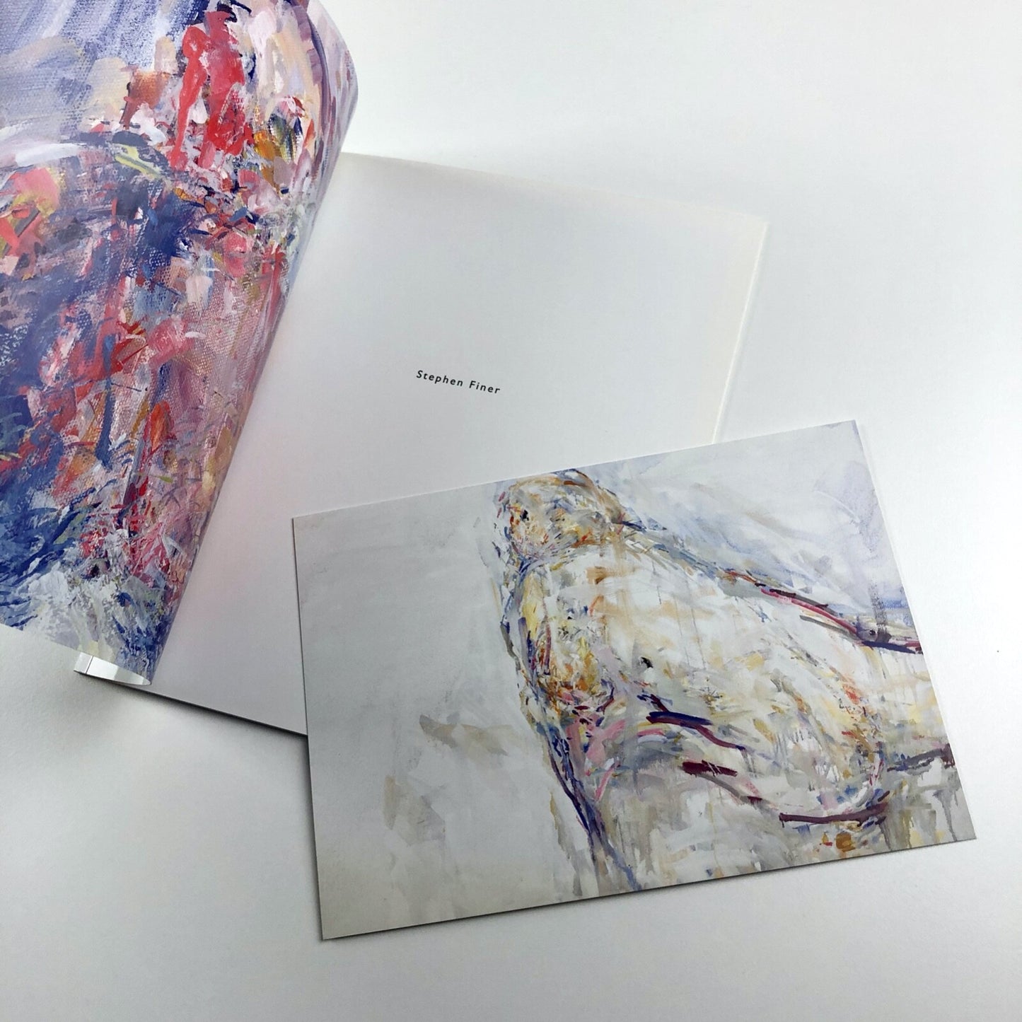 Stephen Finer. Merlyn Driver recording & other paintings | Art Space Gallery catalogue, 2015