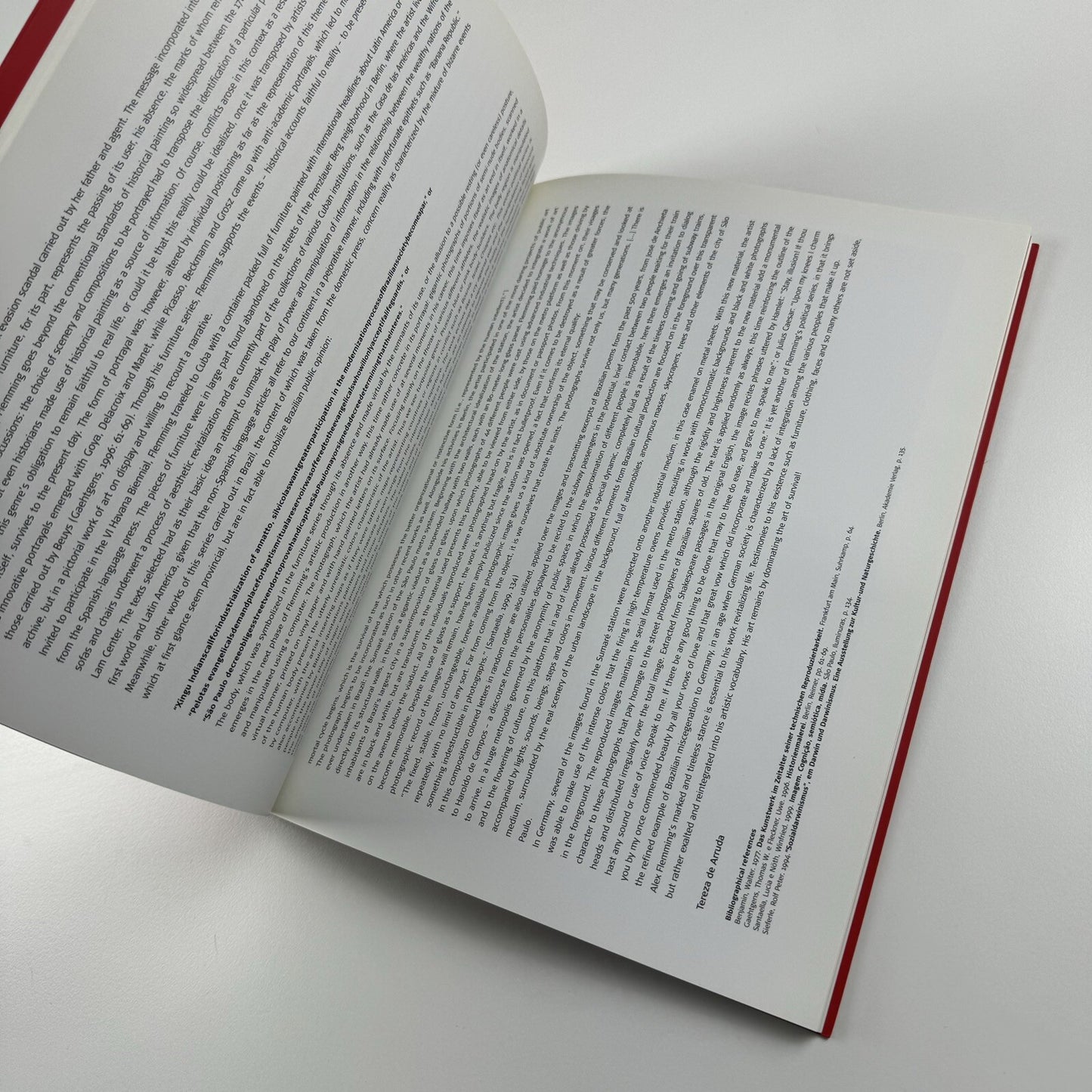 Alex Flemming | Corpo Coletivo | Centro Cultural, Banco de Brasil 2001 catalogue